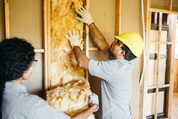 Best Insulation Contractors for Homes  in Cookeville, TN